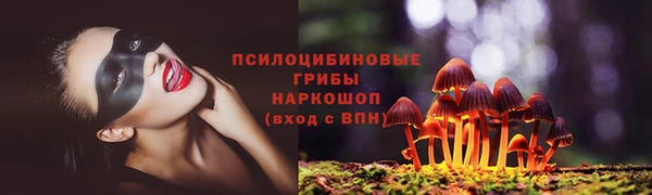 PSILOCYBIN Верхний Тагил