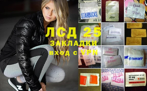 PSILOCYBIN Верхний Тагил